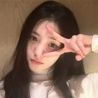 狗狗与我的十个约定